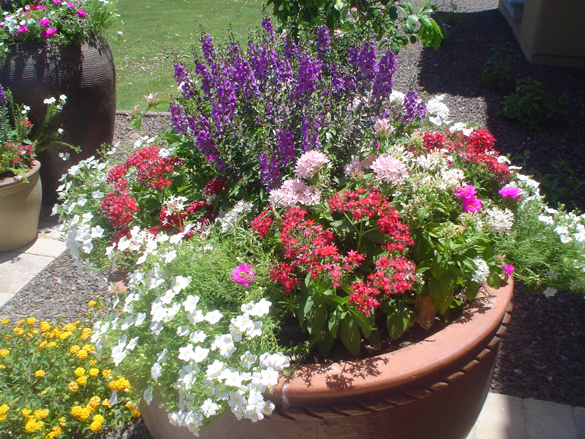 Container Garden