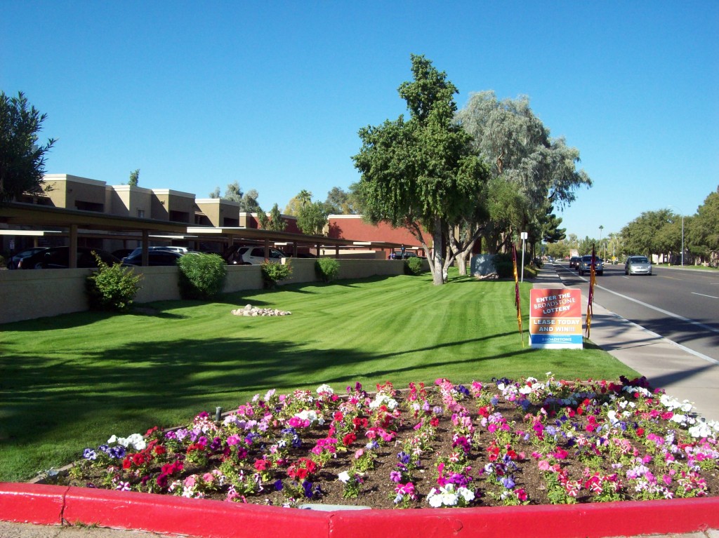 Flowers - Commercial Maintenance